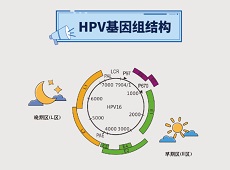 上新了 | 青滨附院病理科：做好女性宫颈病变的“吹哨人”